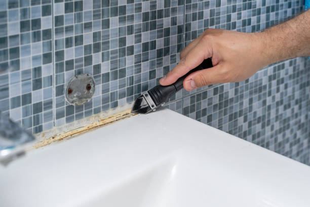 Best Mold Remediation  in Lena, IL